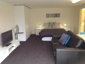 新普利茅斯中央公园一室公寓的一间卧室配有一张床、一张沙发和一台电视