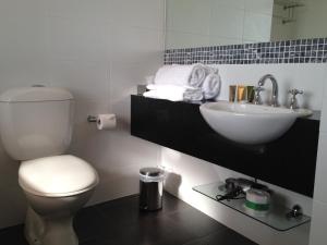 朗塞斯顿Auldington Hotel的浴室配有白色卫生间和盥洗盆。