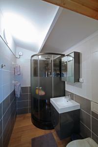 艾居厄河畔卡马勒La Lavande的带淋浴和盥洗盆的浴室