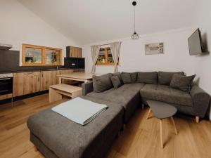 拜尔斯布龙Natur-Camp Tannenfels的一间带灰色沙发的客厅和一间厨房