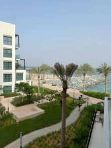 富查伊拉Address Beach Resort Fujairah - 2 bedroom apartment的海滩旁公园里的棕榈树