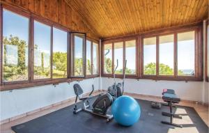 圣科斯坦佐Villa James的一个带健身球和健身器材的健身房,位于带窗户的房间