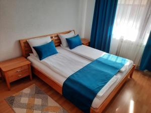萨拉热窝Apartman Kovaci的一间卧室配有一张带蓝色枕头的大床