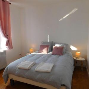 圣艾尼昂Appartement situé en centre ville de Saint Aignan的一间卧室配有一张大床和两条毛巾