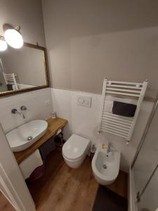 罗马圣彼得豪华客房旅馆的一间带水槽、卫生间和镜子的浴室