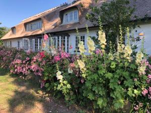 埃贝尔托夫特Rane Ladegaard的一座房子前面的鲜花花园