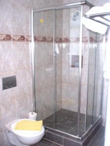 海德堡海德堡景英酒店的设有带卫生间的浴室内的淋浴间