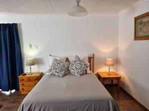 纽卡斯尔The Noble Dew Guest House的一间卧室配有一张带枕头的床和两盏灯。