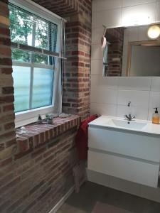 Vlagtwedde'T Wolthoes的一间带水槽和窗户的浴室