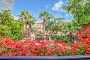 斯科茨Desert Rose Villas - Secluded One Bedroom in Old Town Scottsdale, Arizona的一座花园,在一座建筑前种有红色花卉