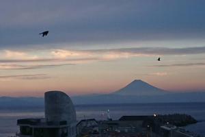 大岛香や野 kayano 海と富士山を一望できる1棟貸し宿 岡田港まで徒歩5分的相册照片