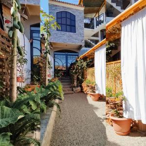 圣胡安拉拉古纳Hotel Posada Belén的植物和人行道的房子