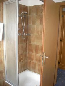 塞尔瓦迪加尔代纳山谷雷齐亚加尼酒店的浴室里设有玻璃门淋浴