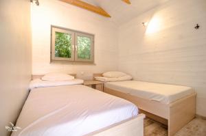 梅尔诺szumidomek的小型客房 - 带2张床和窗户