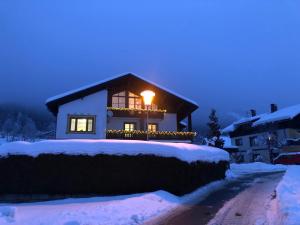 黑马戈尔Fritz Apartments "Haus Bergblick"的雪上灯的房子