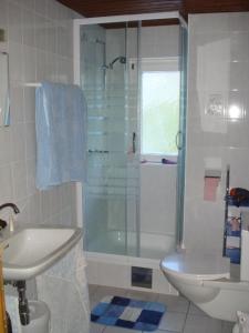 比尔塞贝格Haus Mondspitze的带淋浴、盥洗盆和卫生间的浴室