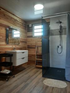 勒唐蓬Bungalow Tillandsia的带淋浴和盥洗盆的浴室