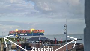 弗利辛恩Rijksmonument Havenzicht, met zeezicht, ligging direct aan zee en centrum的一艘大型集装箱船,坐在水中