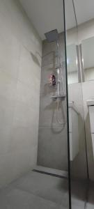 瓦拉日丁Perfect Place 32的浴室里设有玻璃门淋浴
