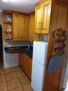 萨比Anna Katarina的厨房配有木制橱柜和白色冰箱。