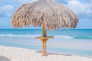 棕榈滩Yoyita Suites Aruba Villa的海滩上的草伞和海洋