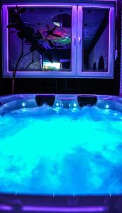 贝尔格莱德Aurora Lux Spa Smart apartments的窗口前的蓝色灯泡热水浴池