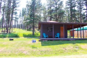 拉皮德城Cabin 5 at Horse Creek Resort的一间小小屋,在院子里设有两把蓝色椅子
