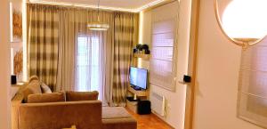 兹拉蒂博尔Apartment Bubica Zlatibor的带沙发和电视的客厅