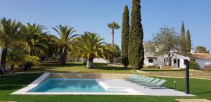 Mexilhoeira GrandePalmeiras Cottages的庭院内的游泳池,带椅子和树木