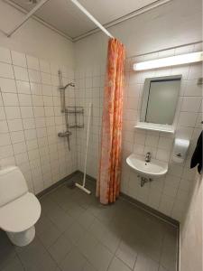 RoslevRoslev Vandrerhjem-Hostel的一间带卫生间和水槽的浴室
