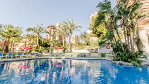 贝尼多姆Apartamentos El Faro By Mc的棕榈树和椅子的度假村的游泳池