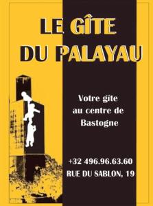 巴斯托涅Le gîte du Palayau的一张海报,上面有一个人看电影