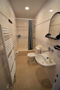 泽勒兹纳·鲁达Pension St. Moritz的浴室配有卫生间、盥洗盆和淋浴。