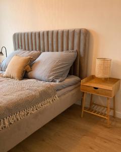 埃尔布隆格Apartament Zoja的一张带枕头的床和木桌
