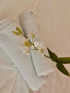 公主港La casa d aitor的白色毛巾上放着鲜花