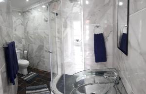 伯诺尼13th Avenue Guesthouse Benoni的浴室设有玻璃淋浴间和卫生间