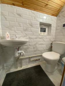 斯拉夫西克Затишок в Карпатах 1的白色的浴室设有卫生间和水槽。