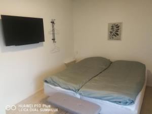霍尔斯特布罗Landevejens B&B Holstebro的一间卧室配有一张床和一台平面电视