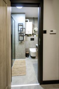萨诺克Apartament Chopin的一间带卫生间和步入式淋浴间的浴室
