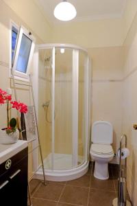 丰沙尔Granny's house view的带淋浴和白色卫生间的浴室