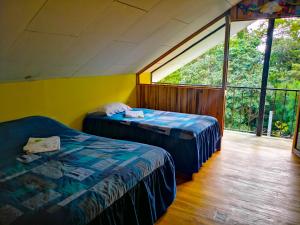 蒙泰韦尔德哥斯达黎加Monteverde Ecolodge的带大窗户的客房内的两张床