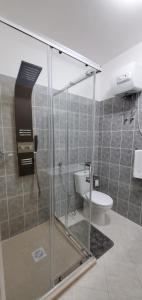 埃斯帕戈斯Apartamento Teixeira的浴室设有玻璃淋浴间和卫生间