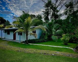 CuipoPrivate Tropical Paradise - Gatuncrocs的前面有棕榈树的房子