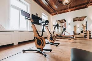 施托尔贝格哈尔茨Hotel & Spa Suiten FreiWerk的健身房,室内配有两辆健身自行车