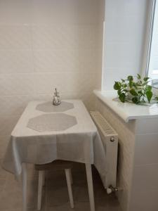 乌曼岛Modern fresh-new appartment near the park Sofievka的一间带水槽、桌子和植物的浴室