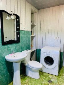 UdabnoMamuka's Guesthouse的浴室配有卫生间水槽和洗衣机。