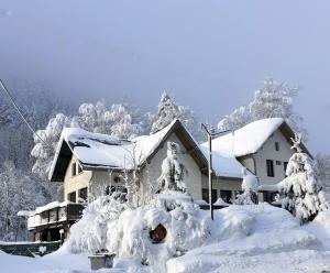 圣皮耶尔德沙尔特勒斯库策隆作坊旅馆的雪覆盖着雪覆盖的树木的房子