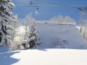 黑林山区圣格奥尔根Holiday home with terrace in the Black Forest的滑雪场一侧的一堆雪