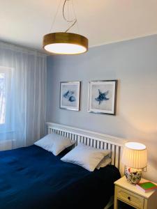 米泽德沃兹Apartament by Karol的一间卧室配有蓝色的床和一盏灯