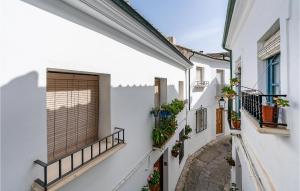 普里埃格·德·科尔多巴Nice Apartment In Priego De Cordoba With Wifi的一条有白色建筑和盆栽植物的小巷